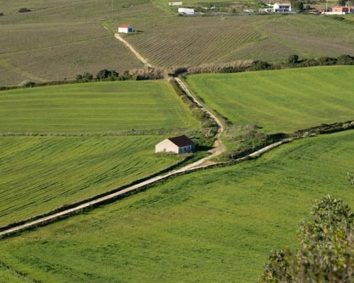Fields and a winding road stretch across the landscape.